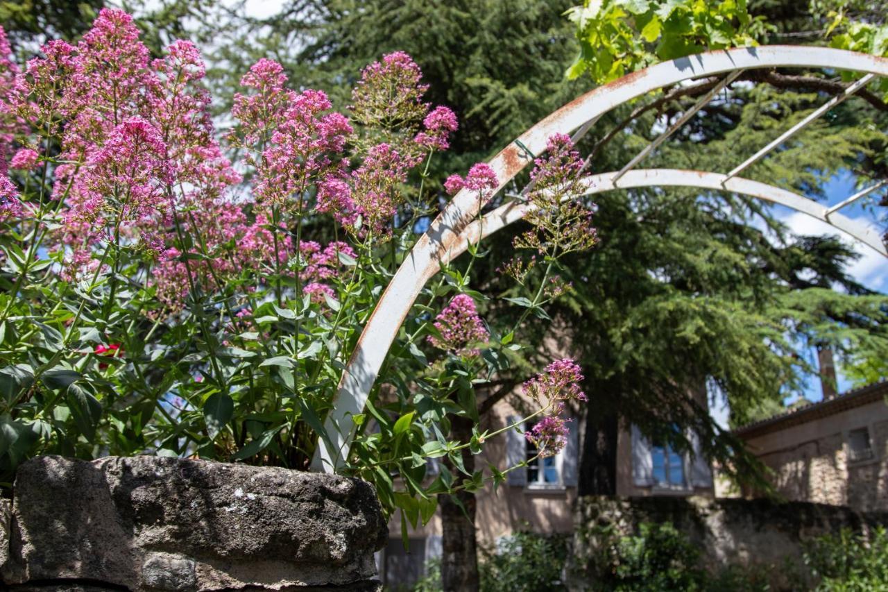 Le Jardin de Mazan Bed and Breakfast Buitenkant foto